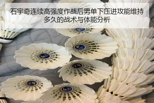 shi-yu-qi-lian-xu-gao-qiang-du-zuo-zhan-hou-nan-dan-xia-ya-jin-gong-neng-wei-chi-duo-jiu-de-zhan-shu-yu-ti-neng-fen-xi-2-504.jpg